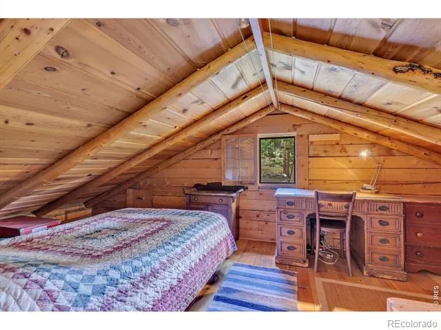 628 County Road 113S Allenspark, CO 80540