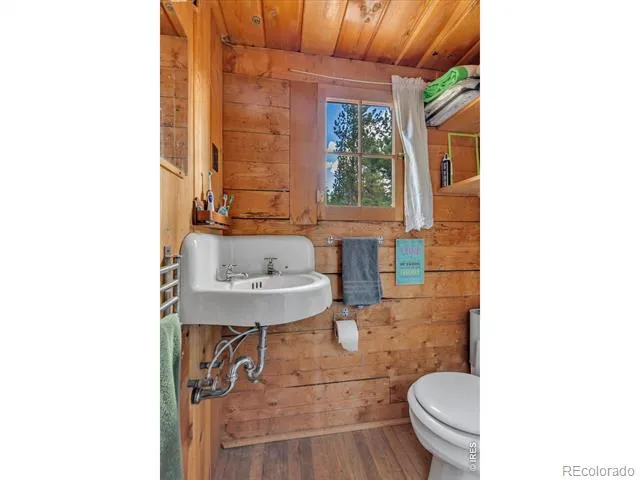 628 County Road 113S Allenspark, CO 80540