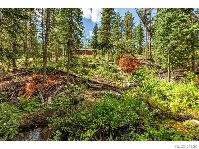 628 County Road 113S Allenspark, CO 80540