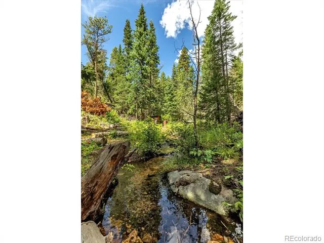 628 County Road 113S Allenspark, CO 80540