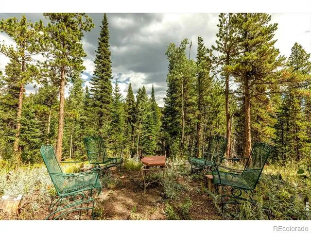 628 County Road 113S Allenspark, CO 80540