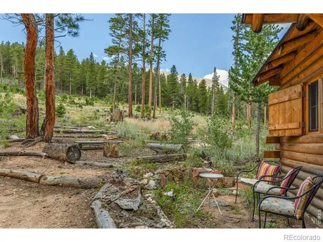 628 County Road 113S Allenspark, CO 80540