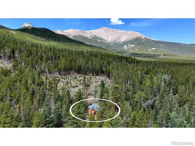 628 County Road 113S Allenspark, CO 80540
