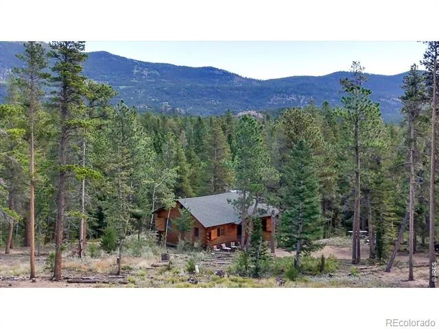 628 County Road 113S Allenspark, CO 80540