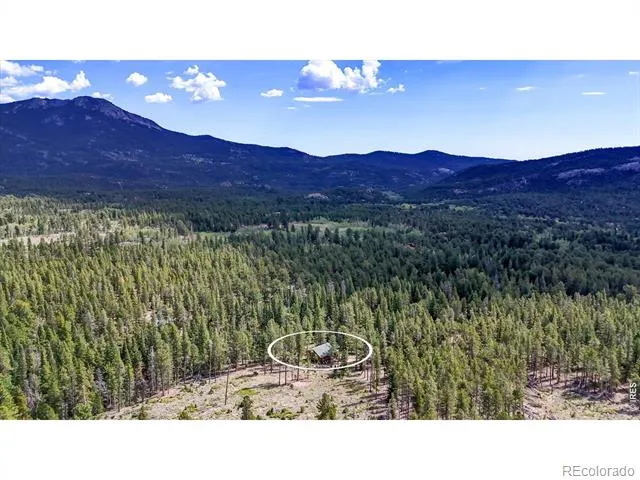 628 County Road 113S Allenspark, CO 80540