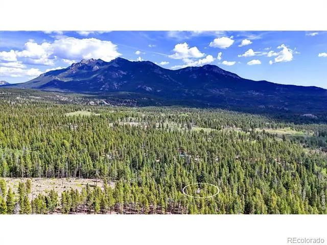 628 County Road 113S Allenspark, CO 80540