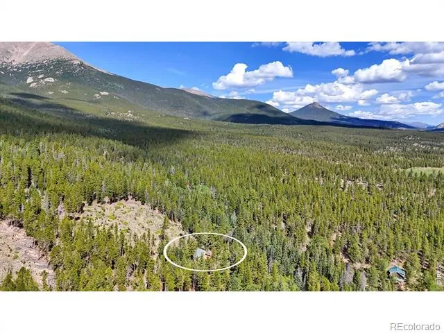 628 County Road 113S Allenspark, CO 80540