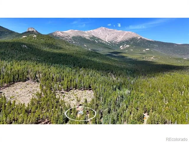 628 County Road 113S Allenspark, CO 80540