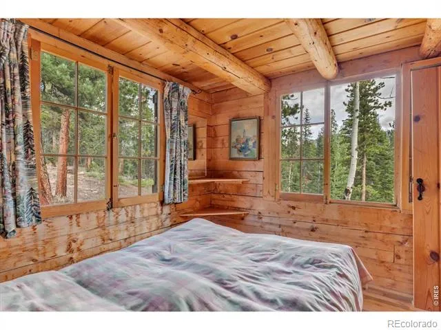 628 County Road 113S Allenspark, CO 80540
