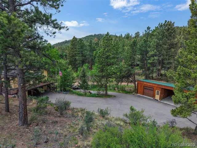 33799 Warren Road Pine, CO 80470
