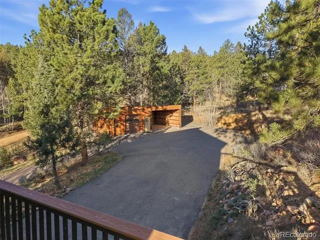 33799 Warren Road Pine, CO 80470