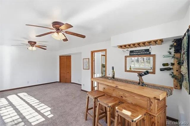 33799 Warren Road Pine, CO 80470