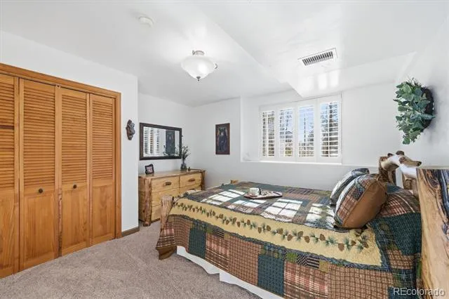 33799 Warren Road Pine, CO 80470
