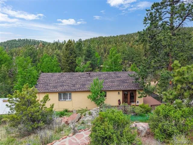 33799 Warren Road Pine, CO 80470