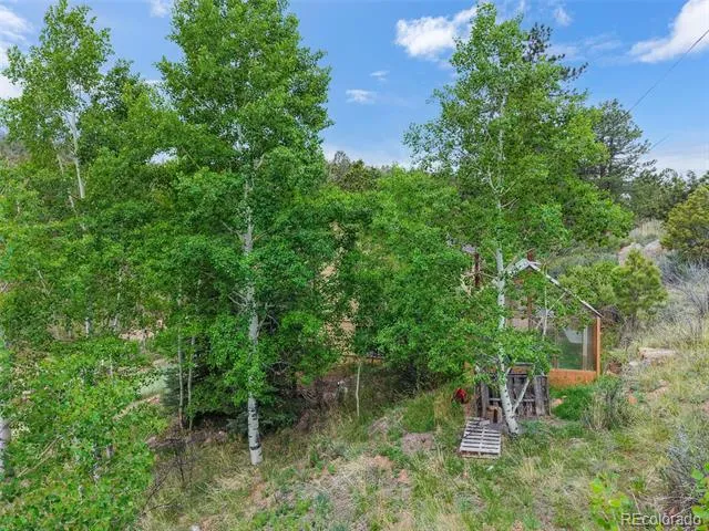 33799 Warren Road Pine, CO 80470