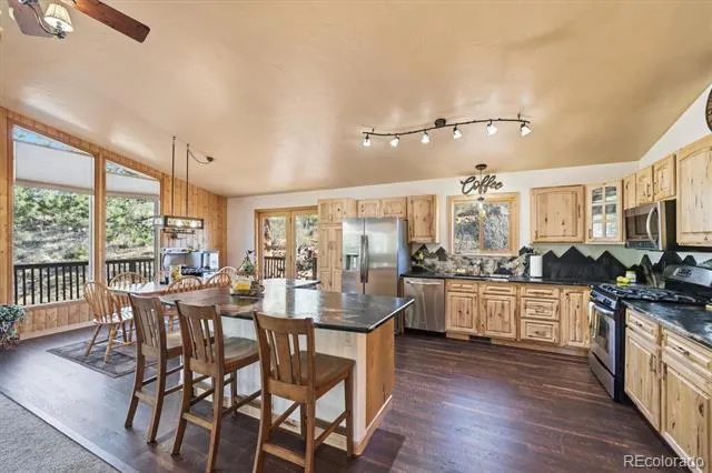 33799 Warren Road Pine, CO 80470