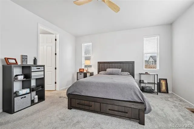 3964 Haleyville Court Aurora, CO 80019
