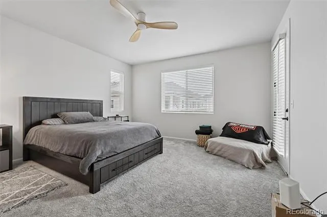 3964 Haleyville Court Aurora, CO 80019