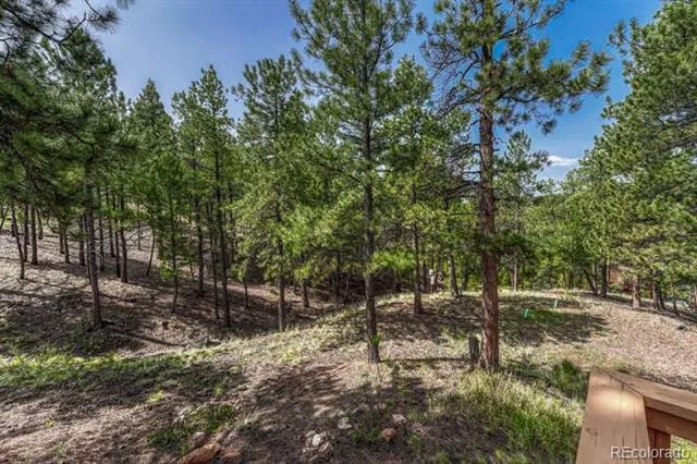14694 Crooked Trail Road Woodland Park, CO 80863