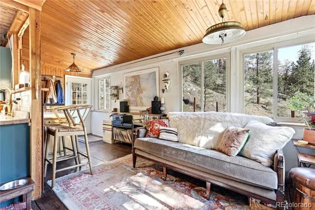 14550 S Elk Creek Road Pine, CO 80470