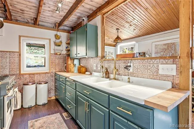 14550 S Elk Creek Road Pine, CO 80470