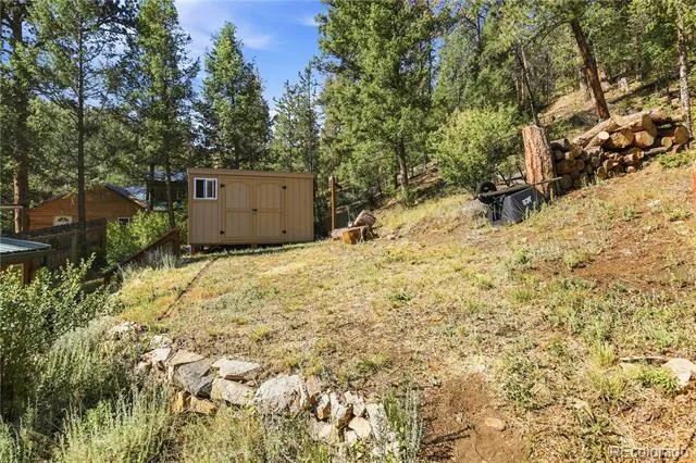 14550 S Elk Creek Road Pine, CO 80470