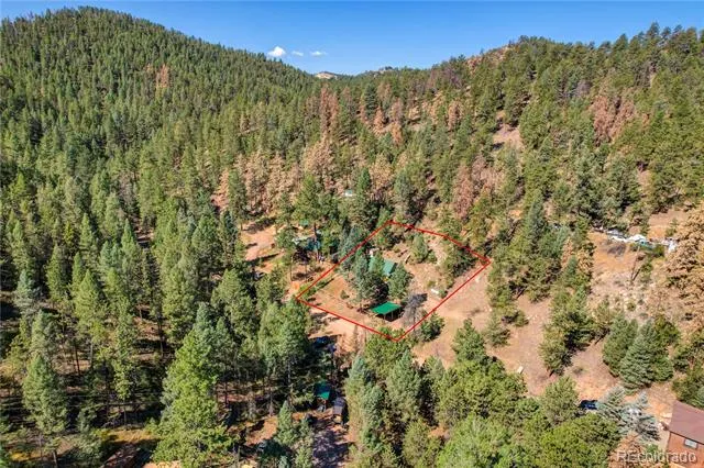 14550 S Elk Creek Road Pine, CO 80470