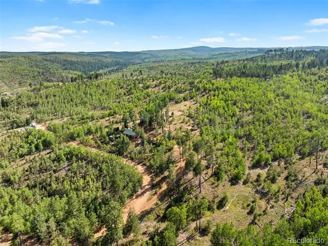 504 Valley Drive Divide, CO 80814