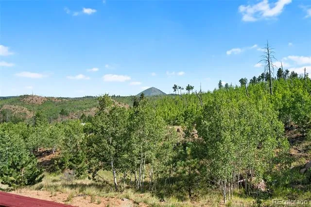 504 Valley Drive Divide, CO 80814