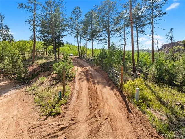 504 Valley Drive Divide, CO 80814