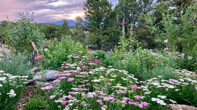6396 Terrace Lane Salida, CO 81201