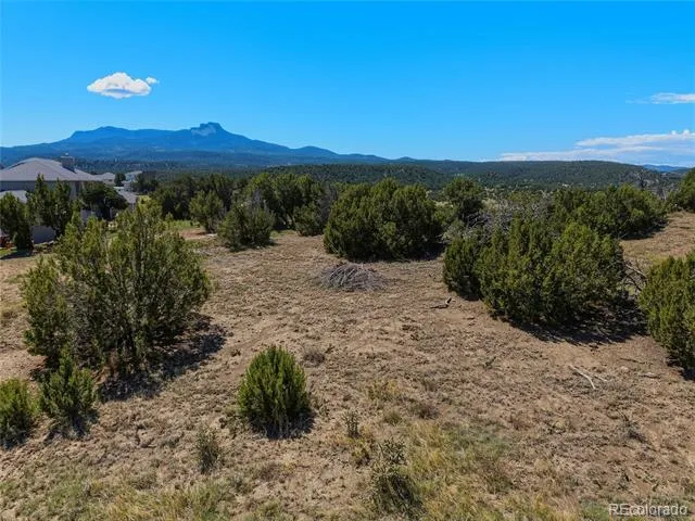 Lot 7 Tyson Ct Trinidad, CO 81082