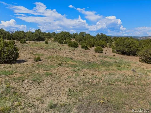 Lot 7 Tyson Ct Trinidad, CO 81082