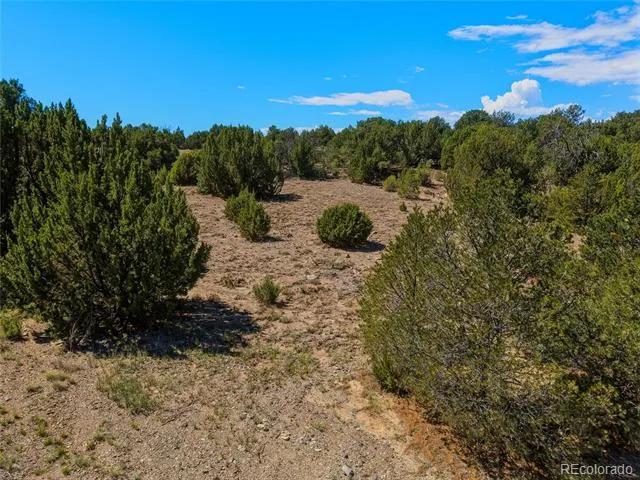 Lot 7 Tyson Ct Trinidad, CO 81082