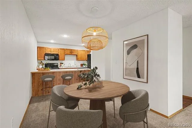 1050 Magic Lamp Way #E Monument, CO 80132