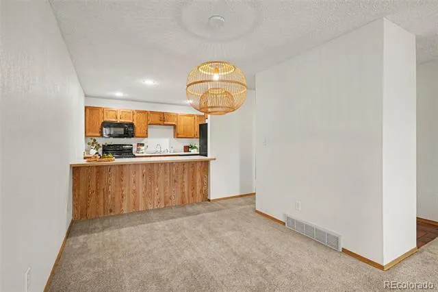1050 Magic Lamp Way #E Monument, CO 80132