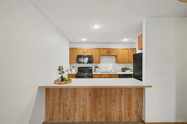 1050 Magic Lamp Way #E Monument, CO 80132