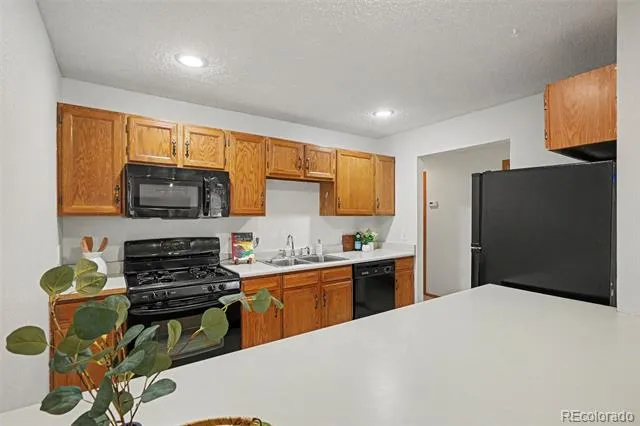 1050 Magic Lamp Way #E Monument, CO 80132