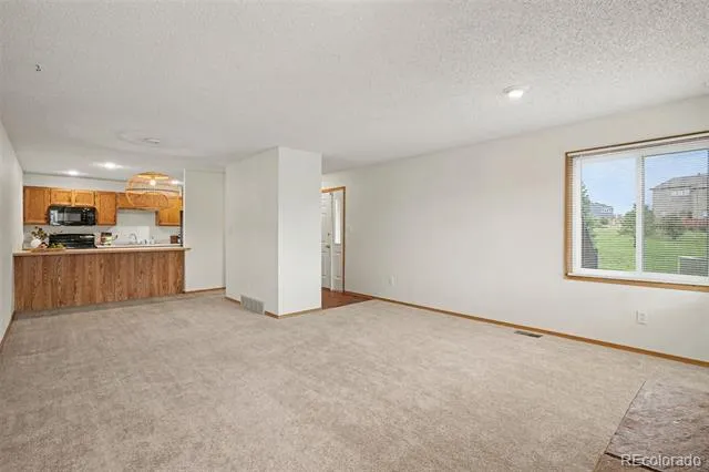 1050 Magic Lamp Way #E Monument, CO 80132