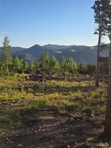 000 Frank C Idaho Springs, CO 80452