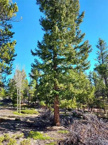 000 Frank C Idaho Springs, CO 80452