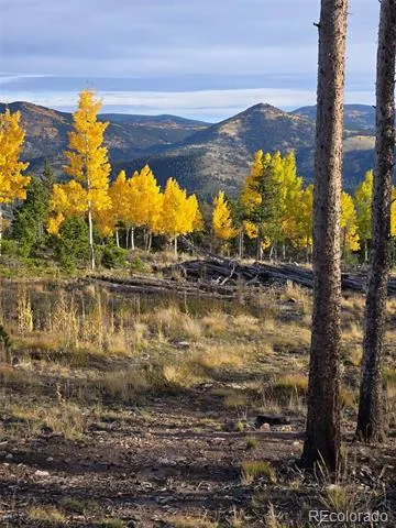 000 Frank C Idaho Springs, CO 80452