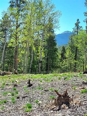 000 Frank C Idaho Springs, CO 80452
