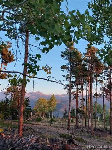 000 Frank C Idaho Springs, CO 80452