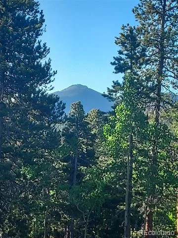 000 Frank C Idaho Springs, CO 80452