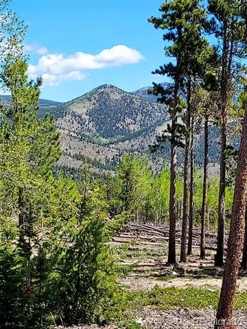 000 Frank C Idaho Springs, CO 80452