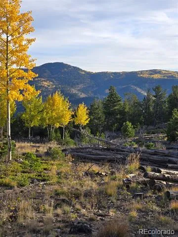 000 Frank C Idaho Springs, CO 80452