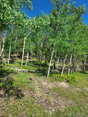 000 Frank C Idaho Springs, CO 80452