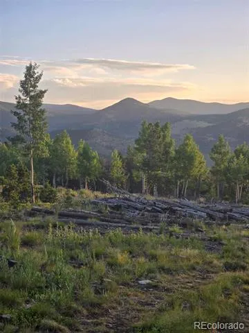 000 Frank C Idaho Springs, CO 80452