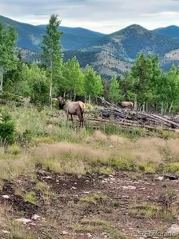 000 Frank C Idaho Springs, CO 80452